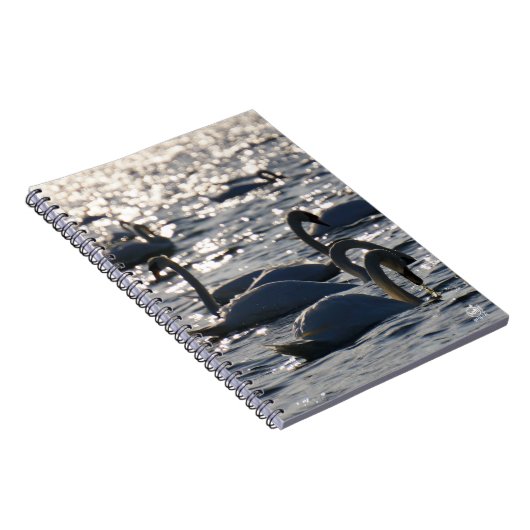 Carnet Navires en groupe sur l'eau avec glissement (Côté Droit)