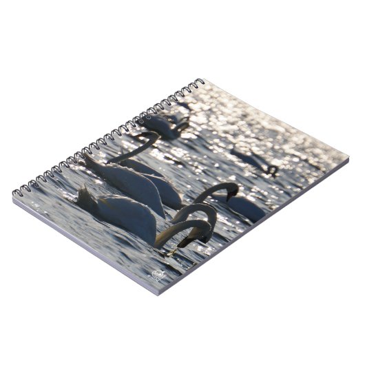 Carnet Navires en groupe sur l'eau avec glissement (Côté gauche)