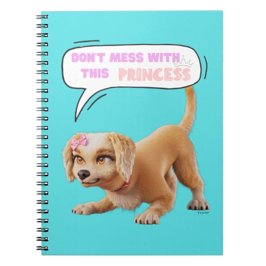 Carnet Ne manquez pas cette princesse (Devant)