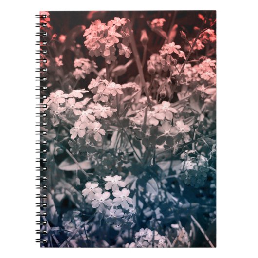 Carnet ne m'oublie pas (Devant)