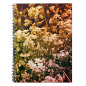 Carnet ne m'oublie pas (Devant)