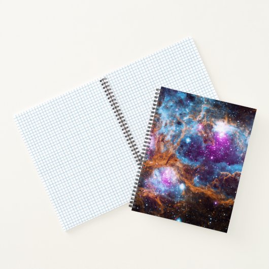 Carnet Nébuleuse du homard (Intérieur)