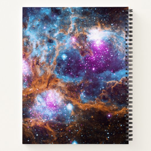 Carnet Nébuleuse du homard (Dos)