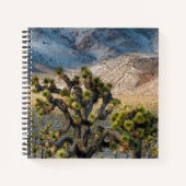 Carnet Neige Dans La Vallée De La Mort (Devant)