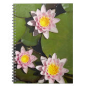 Carnet Nénuphars (Devant)