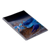 Carnet Neon Blue Scorpion (Côté Droit)