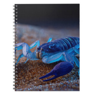 Carnet Neon Blue Scorpion