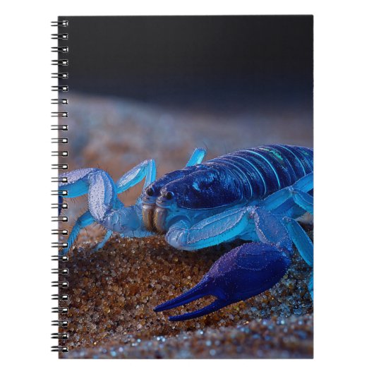 Carnet Neon Blue Scorpion (Devant)