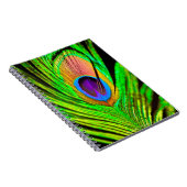 Carnet Neon Colors Peacock Feather (Côté Droit)