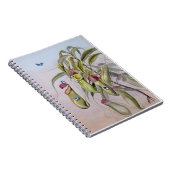 Carnet Nepenthes Plant Drawings, Anniversary (Côté Droit)