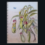 Carnet Nepenthes Plant Drawings, Anniversary<br><div class="desc">Nepenthes mirabilis (Lour.) Druce family Nepenthaceae Somerset Queensland ,  Gift Ideas For Friends,  Style - Floral Drawings</div>