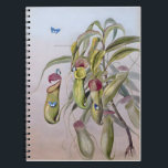 Carnet Nepenthes Plant Drawings, Anniversary<br><div class="desc">Nepenthes mirabilis (Lour.) Druce family Nepenthaceae Somerset Queensland ,  Gift Ideas For Friends,  Style - Floral Drawings</div>