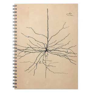 Carnet Neuron Pyramida Dessin Santiago Ramon y Cajal