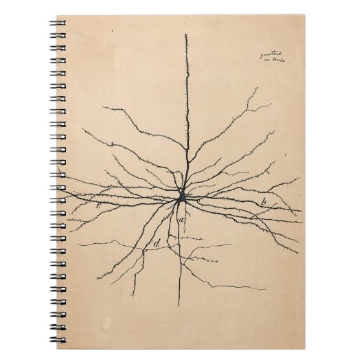 Carnet Neuron Pyramida Dessin Santiago Ramon y Cajal (Devant)