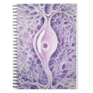Carnet neurone bipolaire