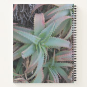 Carnet Nevada succulents (Dos)