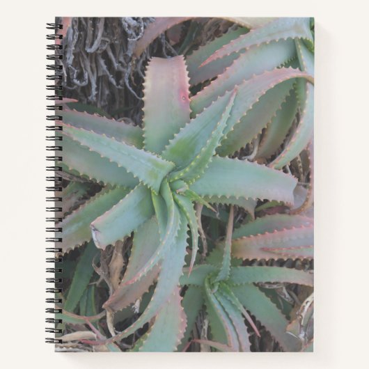 Carnet Nevada succulents (Devant)