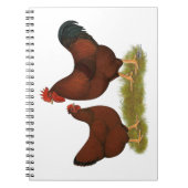 Carnet New Hampshire Reds (Devant)