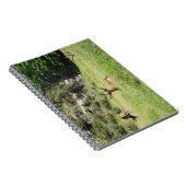 Carnet New Zealand Stags (Côté Droit)