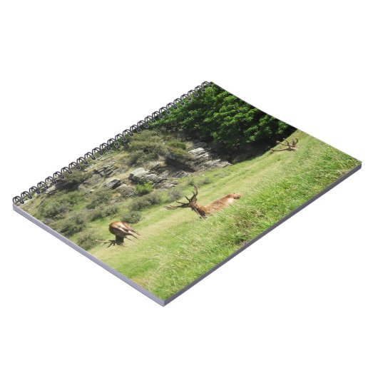 Carnet New Zealand Stags (Côté gauche)