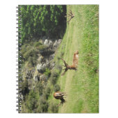 Carnet New Zealand Stags (Devant)