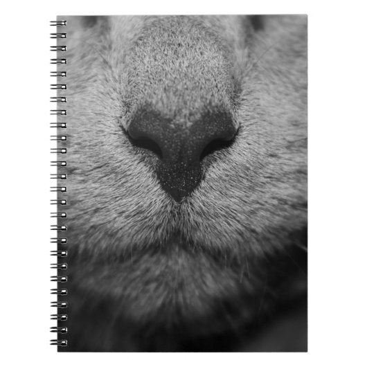 CARNET NEZ DE CHAT EN NOIR ET BLANC (Devant)