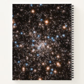Carnet Ngc 6397 (Dos)