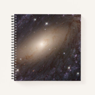 Carnet Ngc 6744, 30 Millions D'Années-Lumières.