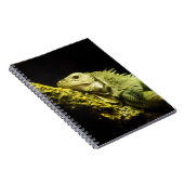 Carnet noble d'iguane (Côté Droit)