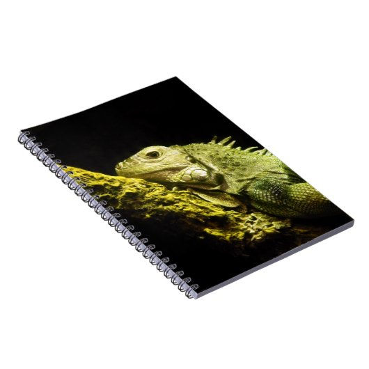 Carnet noble d'iguane (Côté Droit)