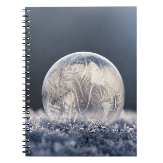Carnet noël d'hiver 87 (Devant)