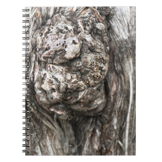 Carnet Noeud du tronc d'arbre (Devant)