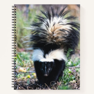 Carnet Noir et blanc