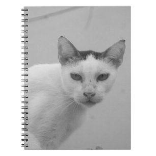 Carnet Noir et blanc - Chat 02