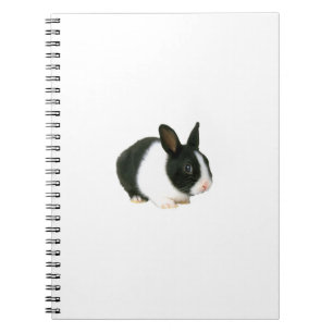 Carnet noir et blanc de lapin