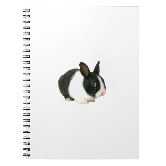 Carnet noir et blanc de lapin (Devant)