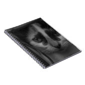 Carnet Noir et blanc - Kitty 02 (Côté Droit)