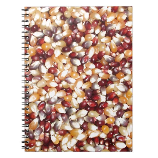 Carnet Noix de maïs populaire colorées (Devant)