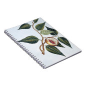 Carnet Noix de muscade, plat 7, de 'collection Precieuse (Côté Droit)