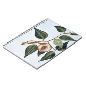 Carnet Noix de muscade, plat 7, de 'collection Precieuse (Côté gauche)