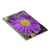 Carnet Nom de la fleur jolie violette (Côté Droit)