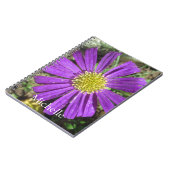 Carnet Nom de la fleur jolie violette (Côté gauche)
