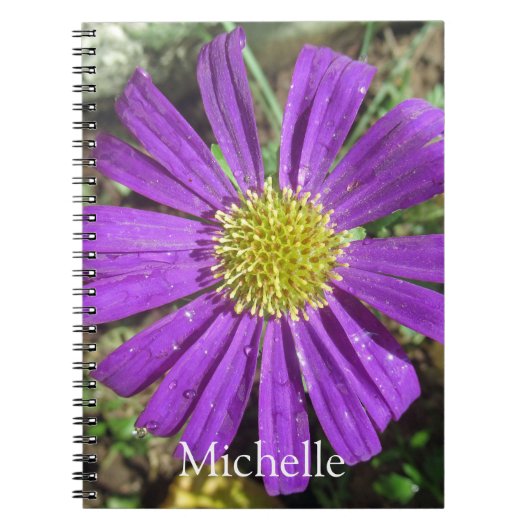 Carnet Nom de la fleur jolie violette (Devant)