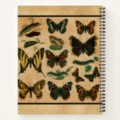 Carnet Nom personnalisé papillon vintage (Dos)