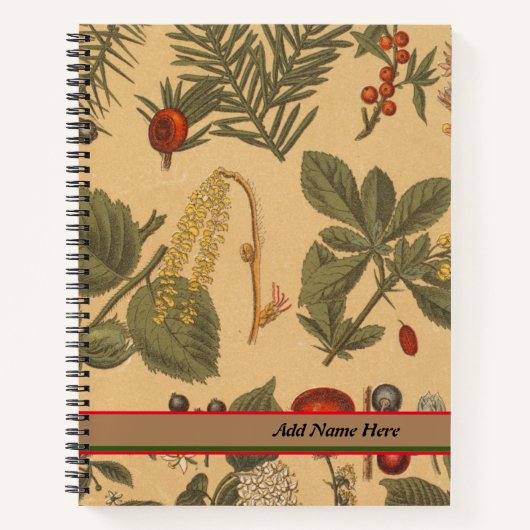 Carnet Nom vintage Botanique personnalisable (Devant)