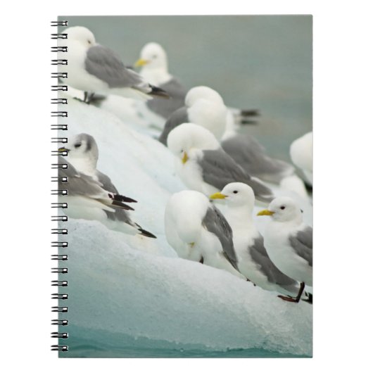 Carnet Norvège, Archipel de Svalbard, Spitsbergen (Devant)