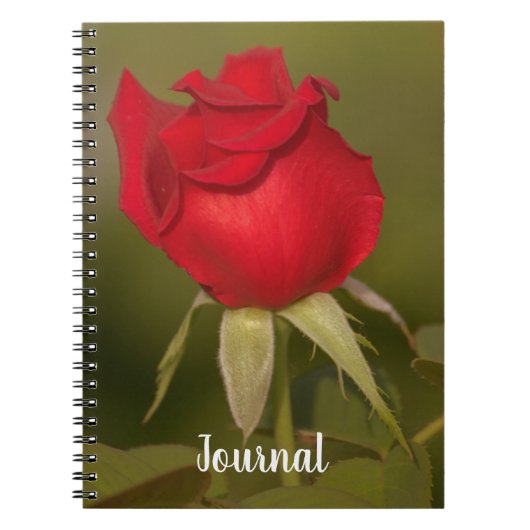 Carnet Nostalgic Red Rose Journal (Devant)