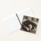 Carnet Nostalgie du baseball - Mitt et Baseball (Intérieur)