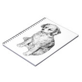 Carnet Note de paix, Nuance subtile (Côté gauche)