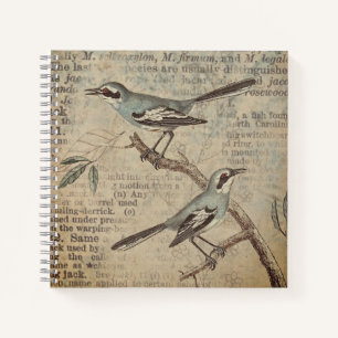 Carnet Noteboo du dictionnaire d'oiseaux Turquoises Vinta